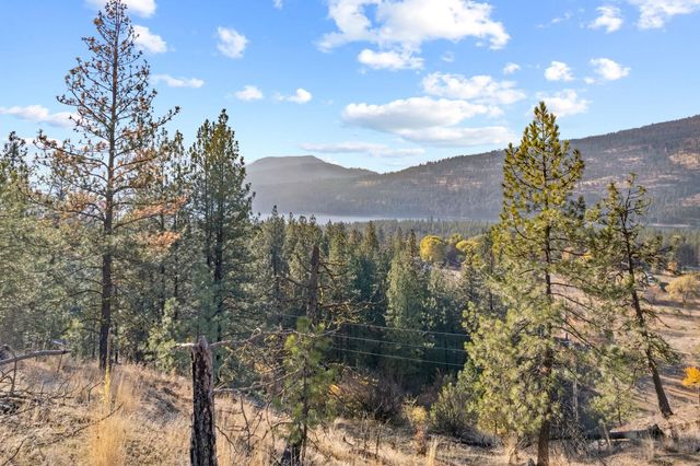 1306 Peachcrest Rd, Kettle Falls, WA 99141
