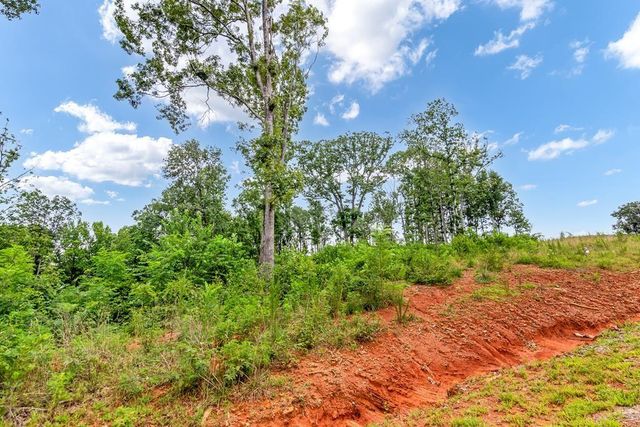 1084 Highgrove Drive, Talking Rock, GA 30175