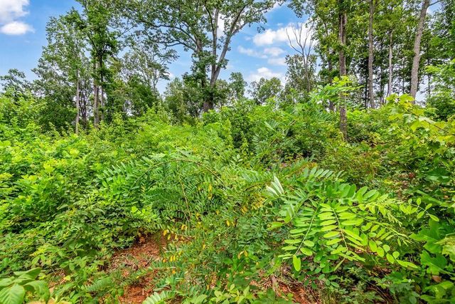 1084 Highgrove Drive, Talking Rock, GA 30175