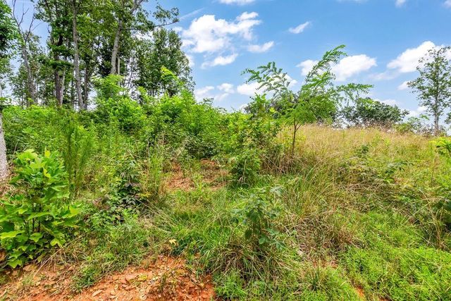 1084 Highgrove Drive, Talking Rock, GA 30175