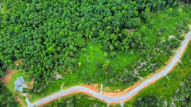 1084 Highgrove Drive, Talking Rock, GA 30175