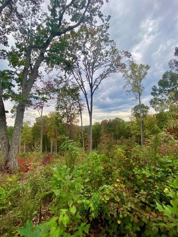 1084 Highgrove Drive, Talking Rock, GA 30175