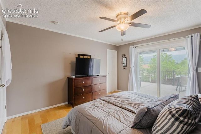 3640 Trailspur Place, Colorado Springs, CO 80906
