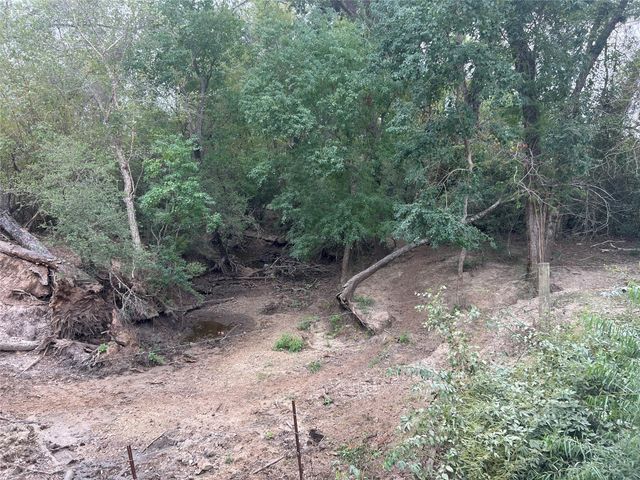 Lot 10 County Road 166, Iola, TX 77861