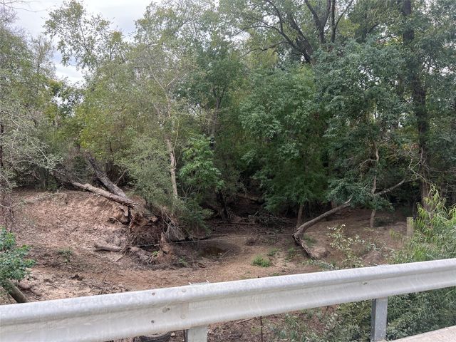 Lot 10 County Road 166, Iola, TX 77861