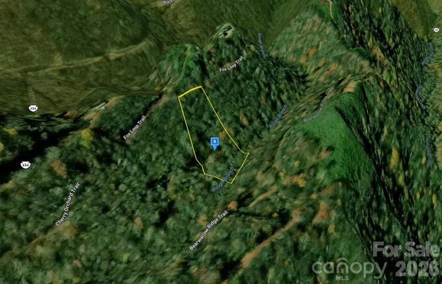 48 Black Rock Ranch Road, Sylva, NC 28779