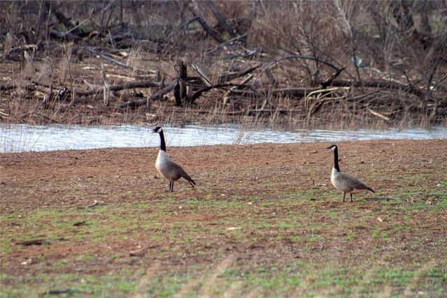 16303 E Rock Creek Road, Norman, OK 73026