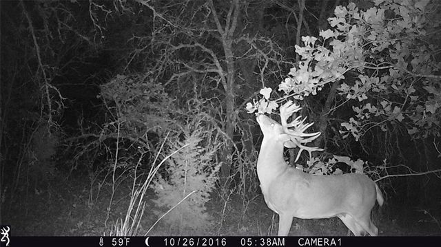 16303 E Rock Creek Road, Norman, OK 73026