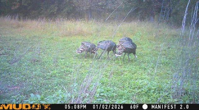 16303 E Rock Creek Road, Norman, OK 73026