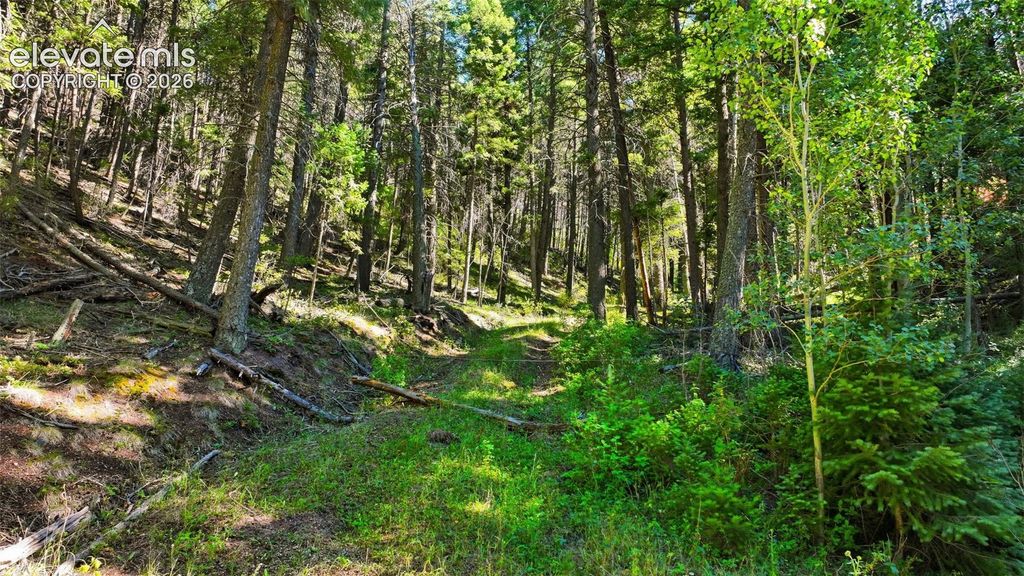 13446 S Firedog Way, Larkspur, CO 80118 — exterior
