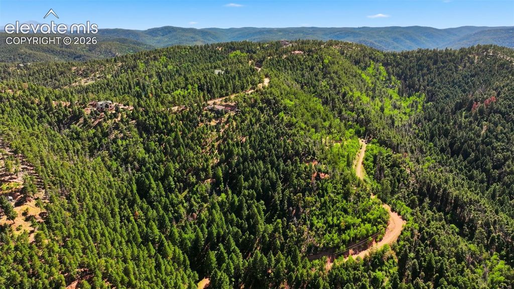 13446 S Firedog Way, Larkspur, CO 80118 — photo 3