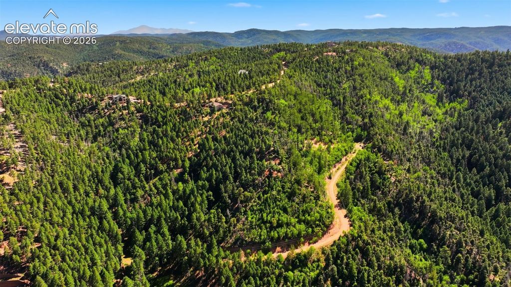 13446 S Firedog Way, Larkspur, CO 80118 — photo 4