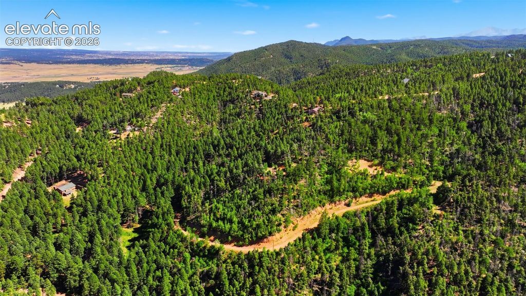 13446 S Firedog Way, Larkspur, CO 80118 — photo 5