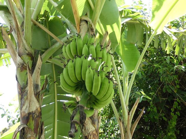 E115 CALLE M-GARCIA, Vieques, PR 00765