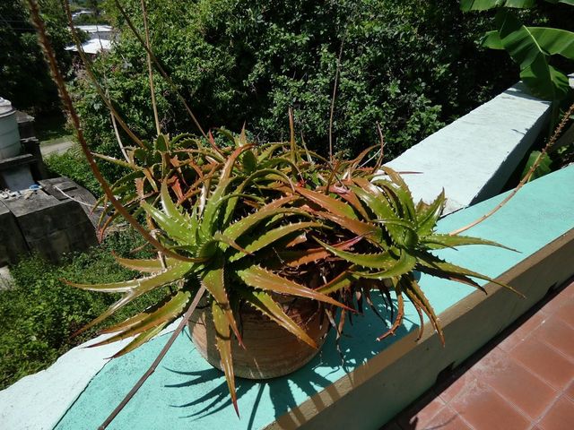 E115 CALLE M-GARCIA, Vieques, PR 00765