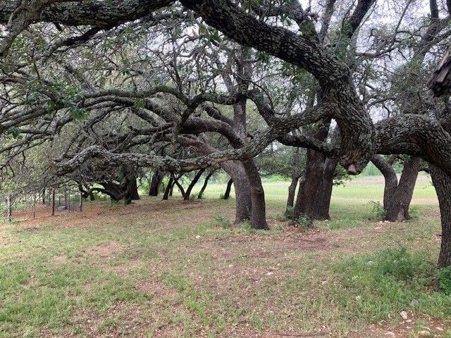 9101 County Road 123, Cross Plains, TX 76443