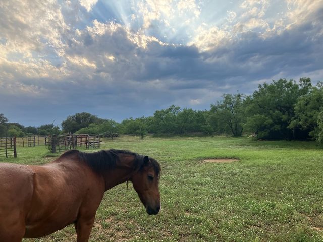 9101 County Road 123, Cross Plains, TX 76443