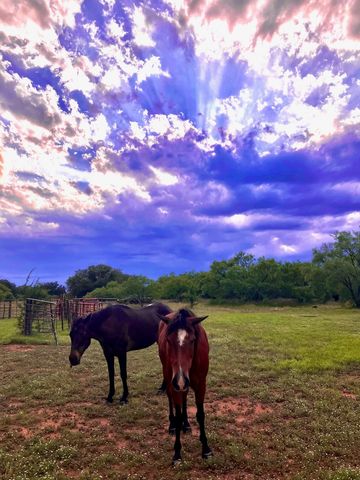 9101 County Road 123, Cross Plains, TX 76443