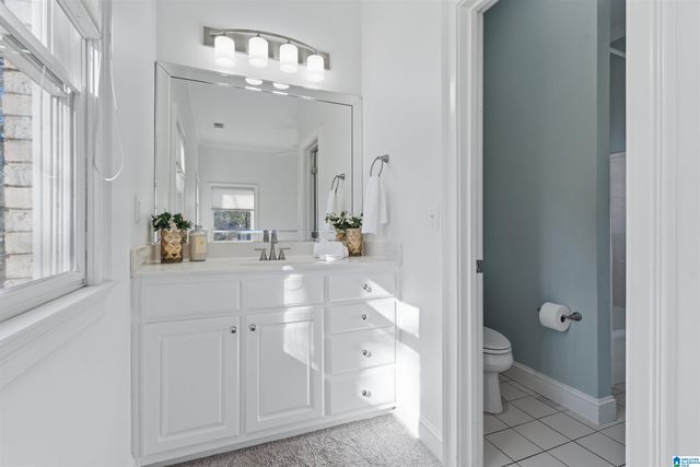 1320 COVE LAKE CIRCLE, Hoover, AL 35242