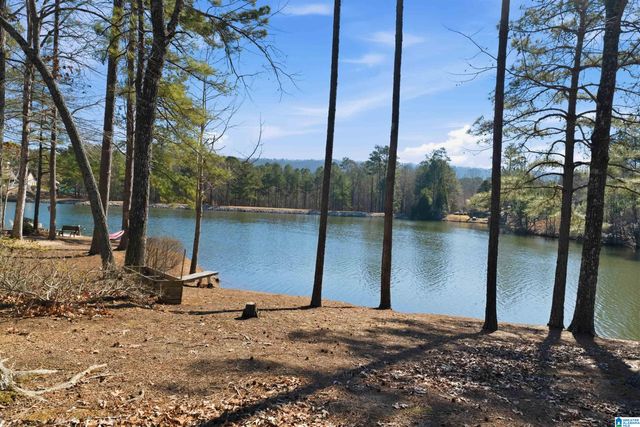 1320 COVE LAKE CIRCLE, Hoover, AL 35242