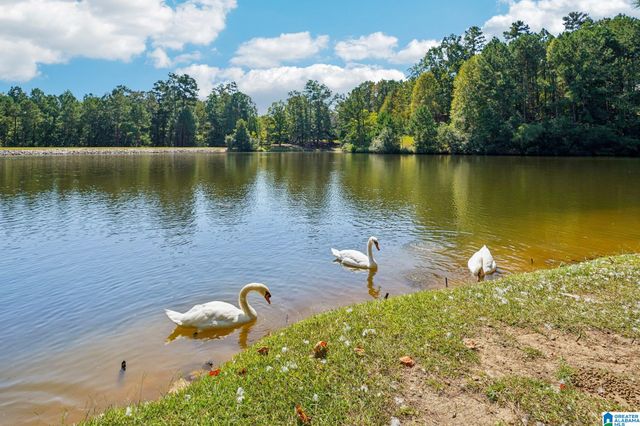 1320 COVE LAKE CIRCLE, Hoover, AL 35242