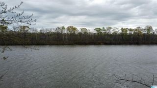 551 LIBERTY SHORES BOULEVARD, Vincent, AL 35178