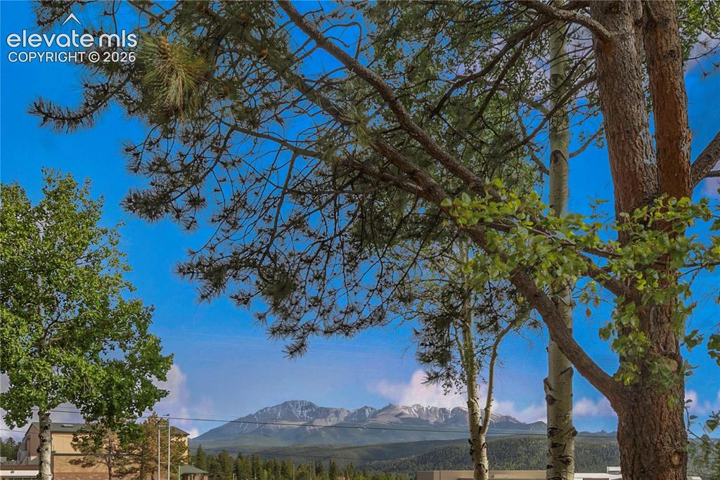 401 Forest Edge Road A5, Woodland Park, CO 80863 — photo 4