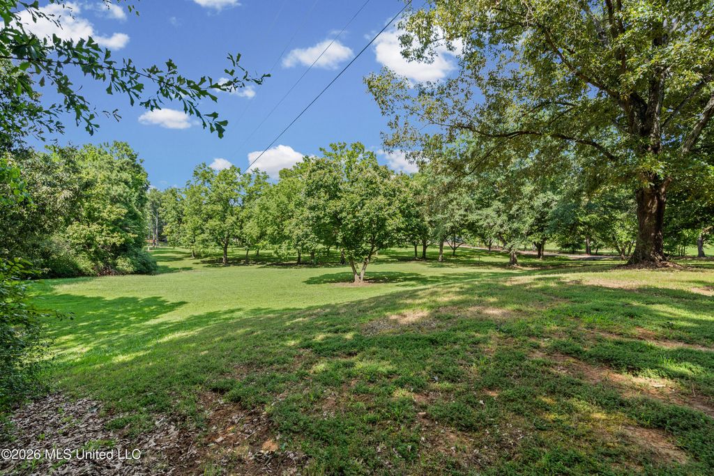 11255 Whispering Pines Drive, Olive Branch, MS 38654 — photo 3