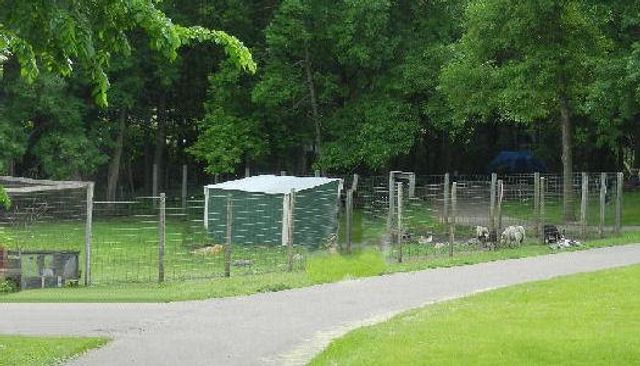 2945 County Road 4 SW 533, Cokato, MN 55321