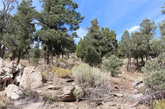 0 Lakeview, Big Bear City, CA 92314