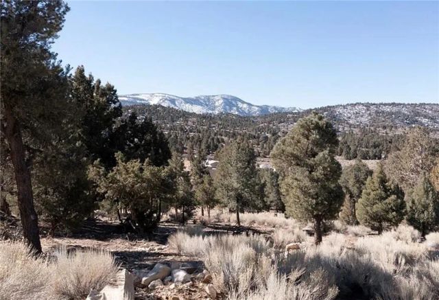 0 Lakeview, Big Bear City, CA 92314