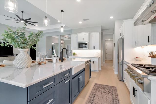 2686 MEANDER COVE, Wesley Chapel, FL 33543