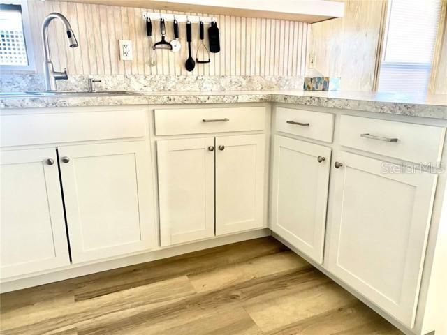 610 COTTAGE PARK LANE, Leesburg, FL 34748