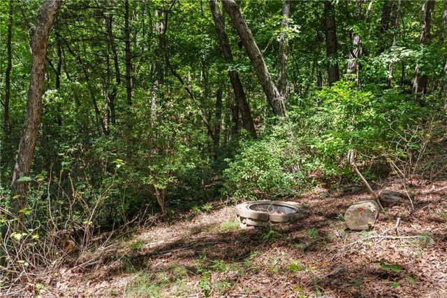 157 Wolf Trail, Mcgrady, NC 28649