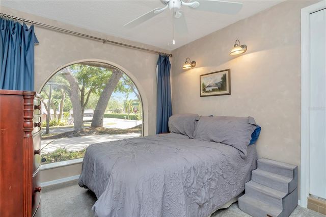 2820 VALENCIA LANE W, Palm Harbor, FL 34684