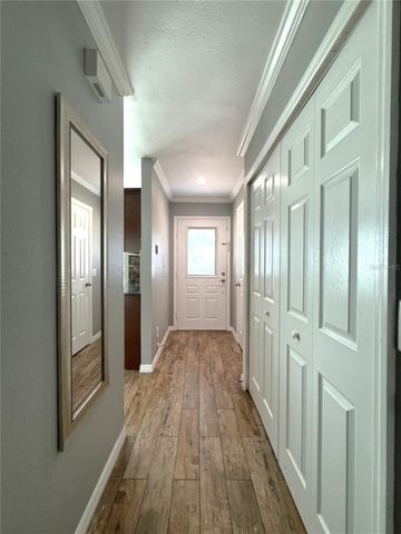 16335 RAMBLING VINE DRIVE W, Tampa, FL 33624