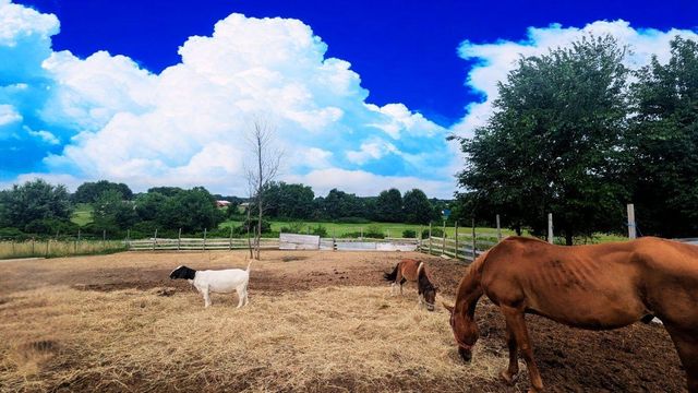 3845 Township Road 26, Cardington, OH 43315