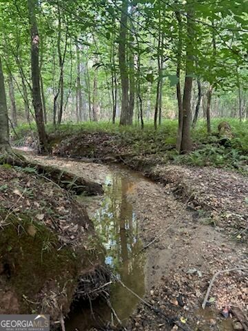 1036 Creighton Road, Ball Ground, GA 30107