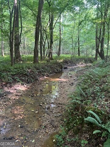 1036 Creighton Road, Ball Ground, GA 30107