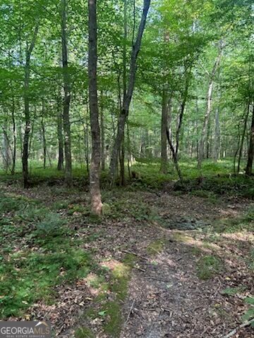 1036 Creighton Road, Ball Ground, GA 30107