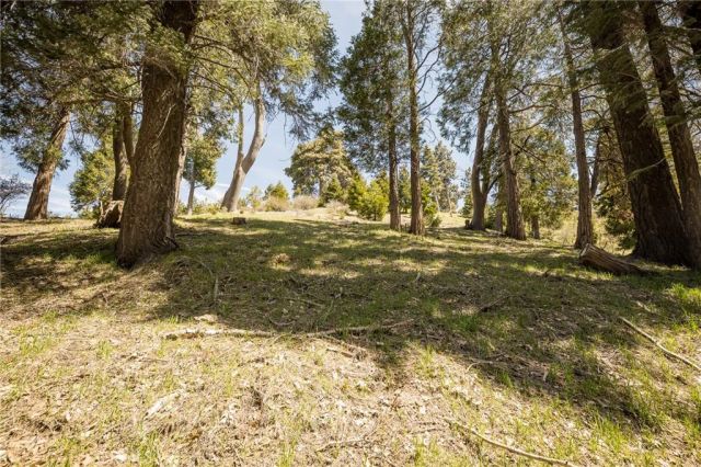 226 Hidden Forest, Lake Arrowhead, CA 92352
