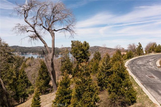 226 Hidden Forest, Lake Arrowhead, CA 92352