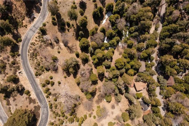 226 Hidden Forest, Lake Arrowhead, CA 92352
