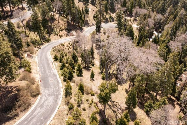 226 Hidden Forest, Lake Arrowhead, CA 92352