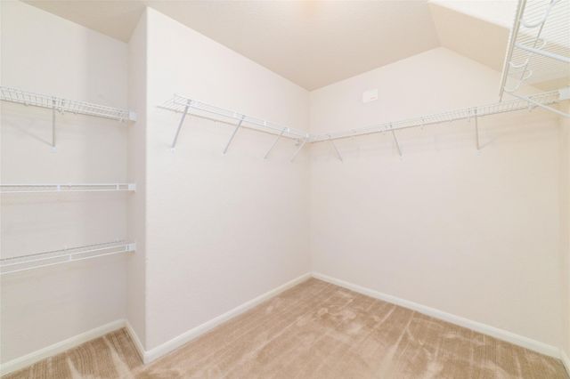21311 Shadow River Lane, Spring, TX 77379
