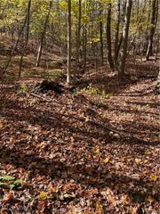 S/L 5 Big Creek Ridge, Chardon, OH 44024