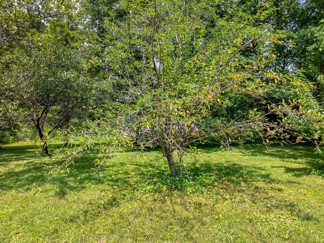 709 Belmont Ave, Shelbyville, TN 37160