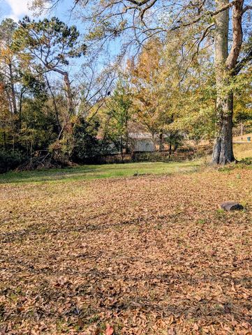 223 New Fort Browder Rd, Eufaula, AL 36027