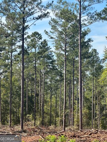 0 seven islands Road, Madison, GA 30650