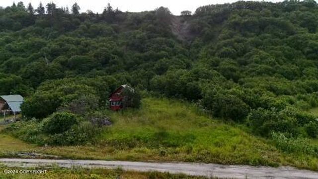 30035 Sterling Highway, Anchor Point, AK 99556